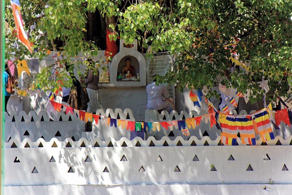 SriLan (768).jpg